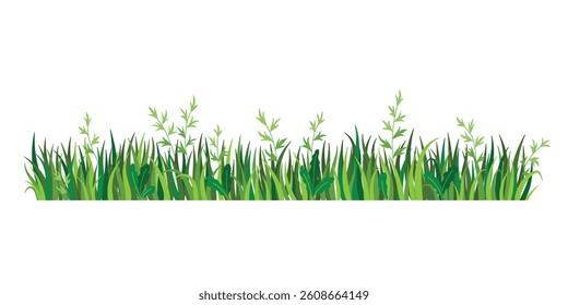 Summer grass border. Nature landscape element isolated on white background. Fragment of green grass. Spring meadow or summer lawn symbol