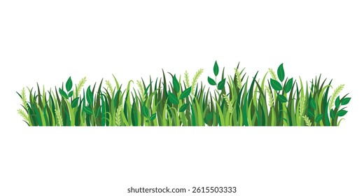 Summer grass border. Nature landscape element isolated on white background. Fragment of green grass. Spring meadow or summer lawn symbol