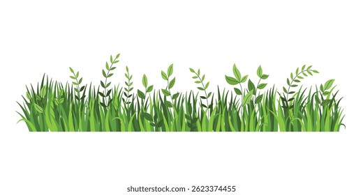 Summer grass border. Nature landscape element isolated on white background. Fragment of green grass. Spring meadow or summer lawn symbol