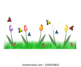 Summer grass butterfly flowers
