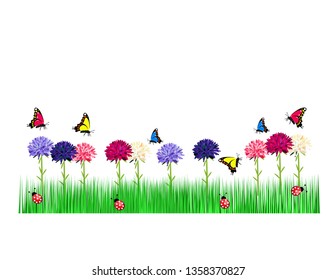 Summer grass butterfly flowers
