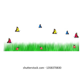 Summer grass butterfly flowers