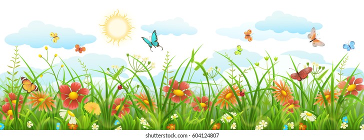 Summer grass with flowers, butterflies, sun and clouds