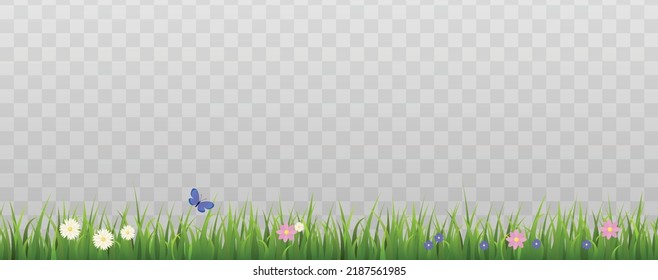 El césped de verano horizontal sin soldadura o borde con flores y mariposa, ilustración vectorial realista aislada en fondo transparente. Diseño de pancartas de hierba.