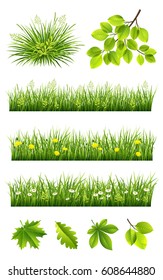 Summer grass and leaves vector collection on the white background