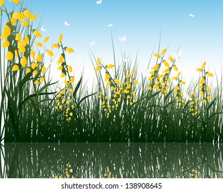 Summer grass with reflections in water. EPS 10 vector illustration.