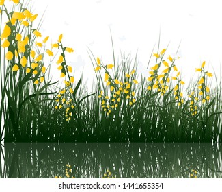 Summer grass with reflections in water. EPS 10 vector illustration.