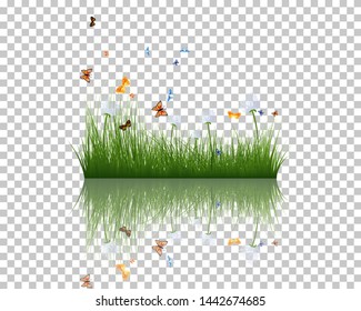 Sommergras mit Spiegelungen im Wasser. EPS10 Vektorgrafik.