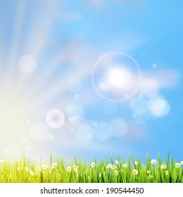 Summer grass in sun light and defocused sky on background. And also includes EPS 10 vector
