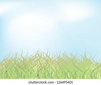 Summer Grass Vector