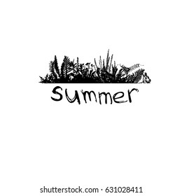 summer grass. Vector