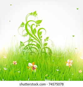 Summer grass wallpaper with flowers, ladybird, drops and sun shine. eps 10.