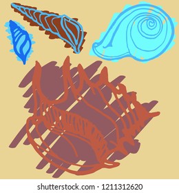 Summer great suite animal shell multicolor sea.