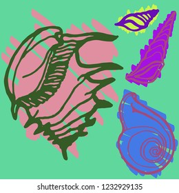 Summer great suite animal shell multicolored sea.