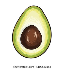 Summer Green Avocado Vector Illustration