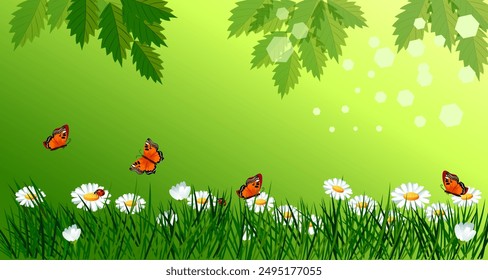 Summer green background horizontally elongated rectangle with tree leaves sunbeams daisies grass butterflies ladybugs Vector