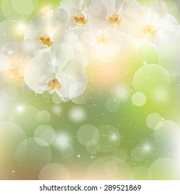 summer green background with a sprig of white Orchid flowers.