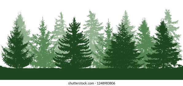 Summer green forest, silhouette of spruces. Vector illustration.