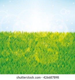 Summer green grass background. Seamless pattern vector for banner texture design for web, card, banner, spring, sale, flyer, pack, logo, web, vip exclusive certificate, gift luxury voucher, welcome.