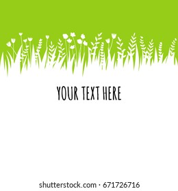 Summer green grass background for text. Vector eco, nature design banner, template