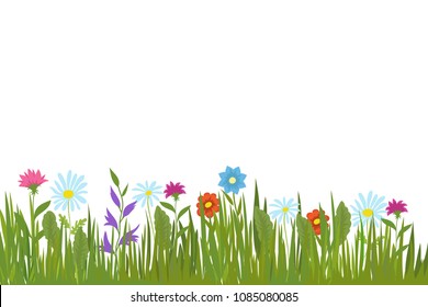 Summer green grass and flowers. Garden plants and field herbs vector background. Illustration of grass and colored flower on lawn