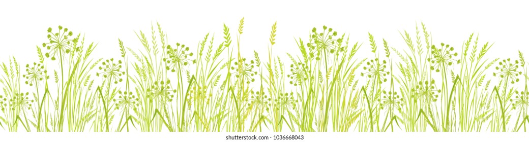 Summer Green Grass Isolated On White Background. Long Format Seamless Pattern. Border. Vector Illustration