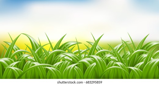 Summer green grass, vector realistic 3d illustration