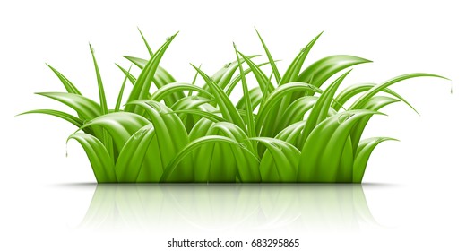 Summer green grass, vector realistic 3d illustration