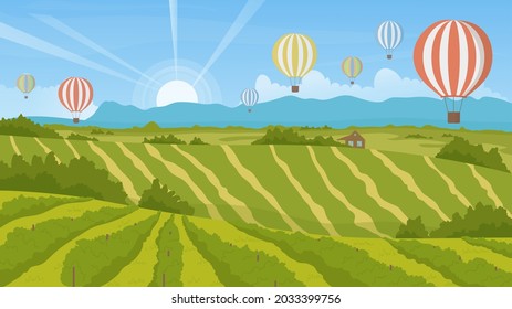 Summer green landscape with cute balloons flight vector illustration. Cartoon big hot air colorful balloons flying in blue sky over fields and vineyards in rural countryside sunrise scenery background