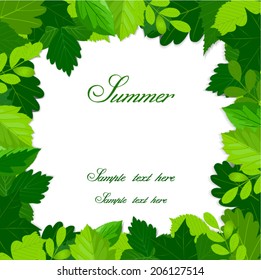 summer green leaves frame 