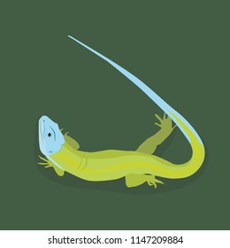 Summer of green lizards on a green background. The blue tail.