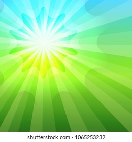 Summer green organic background with rays sun light. Hot with space for your message. Vector illustration EPS 10 for design presentation, brochure layout page, cover book or magazine farming