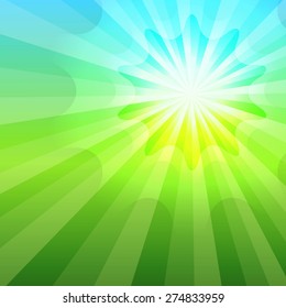 Summer green organic background with rays sun light. Hot with space for your message. Vector illustration EPS 10 for design presentation, brochure layout page, cover book or magazine farming