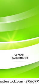 Summer green organic background with rays sun light. Hot with space for your message. Vector illustration EPS 10 for design presentation, brochure layout page, cover book or magazine farming