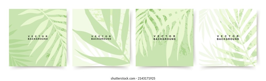 Summer green square backgrounds with tropical leaves and texture. Editable vector templates for card, banner, invitation, social media post, poster, mobile apps, web ads - Shutterstock ID 2143171925