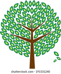 summer green tree
