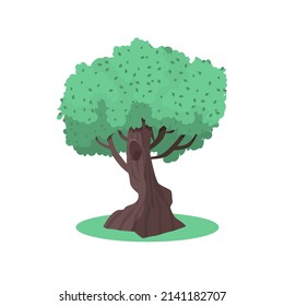 Summer green tree, garden or forest elements for design. Isolated vector illustration on white background.