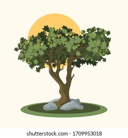 árbol verde de verano y piedras