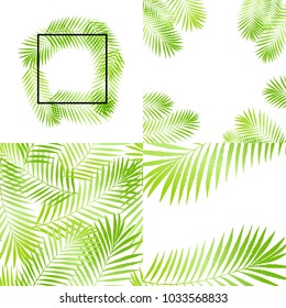 Summer green tropical palm tree leaves seamless pattern, frames set. Vector grunge design for cards, wallpapers, backgrounds and natural, organic product.