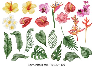 summer greenery tropical leaf and flower isolated clip art watercolor