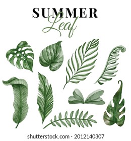 summer greenery tropical leaf isolated clip art watercolor