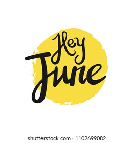 summer greeting card hey june phrase vector lettering