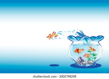 20,132 Goldfish bowl Images, Stock Photos & Vectors | Shutterstock