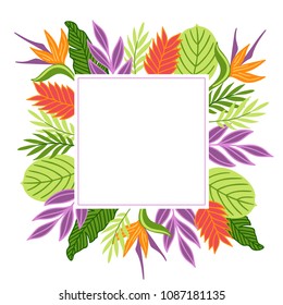 Summer greeting card with strelitzia, tropical leaves and square blank label. Perfect for holiday invitations