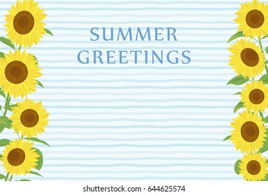 Summer greeting card of sunflower.