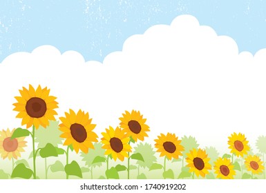 Summer greeting card , sunflower field illustration