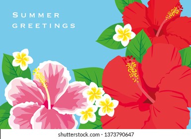 Summer Greeting card template vector illustration 