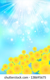 Summer greeting sunflower background