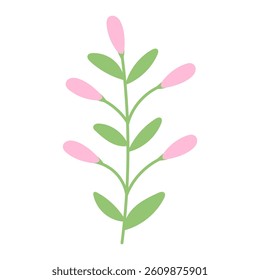 Summer hand drawn flower. Wildflower and leaves. Floral element. Garden plant element. Vector flat illustration