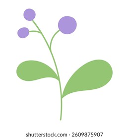 Summer hand drawn flower. Wildflower and leaves. Floral element. Garden plant element. Vector flat illustration